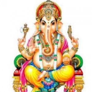 Santushtit PandeyProfile Image
