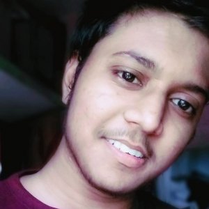 sarbeswaesh Kulkarni
