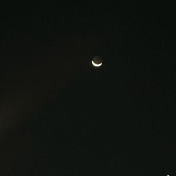 Sarina YadavProfile Image