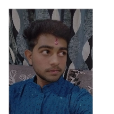 Sarthaesh ReddyProfile Image