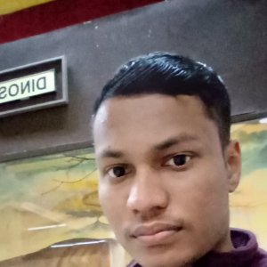 Sauraan Goyal