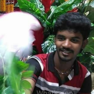 Sekaesh Reddy