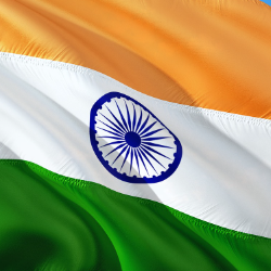 Shaheen QureshiProfile Image