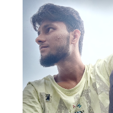 Sherin Alavi