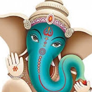 Shikhit Tiwari
