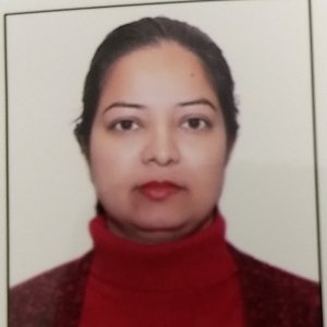Shilpan Bansal