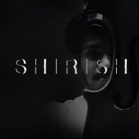 Shirisan TrivediProfile Image