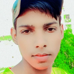 Shivendra SinghProfile Image