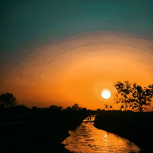 Shivit Nair
