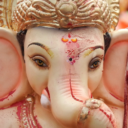 Shreena