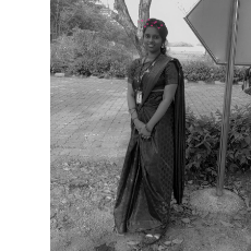 Simav Trivedi