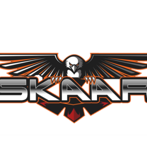 Skaaan Reddy