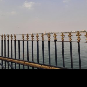 Snehan Awasthi