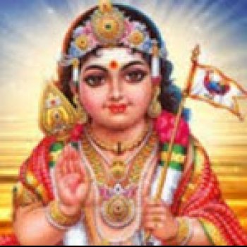 Srdin Reddy