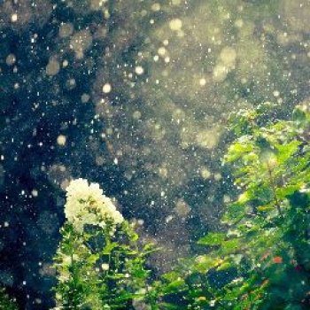 Sreelalithan Bansal
