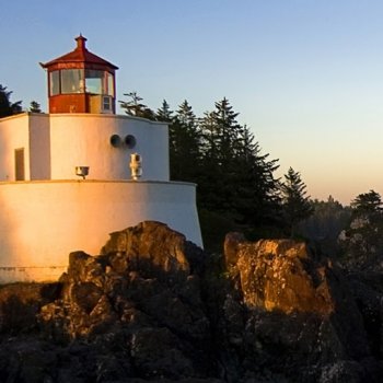 Sreesh Tiwari