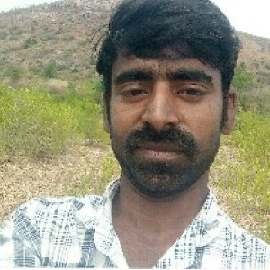 Subbit Gupta