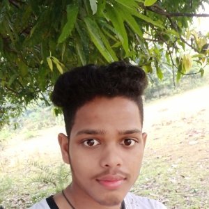 Subhankaesh Mishra