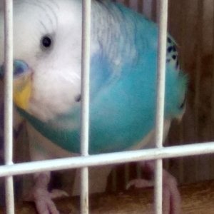 Subhashrean MishraProfile Image