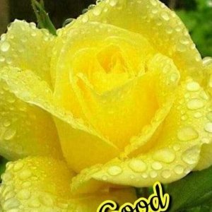 Sudhav Iyer