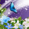 Suganyit Awasthi