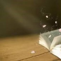 Surekhesh PawarProfile Image