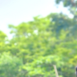 Suresh Moturi