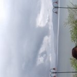 Swetan AwasthiProfile Image