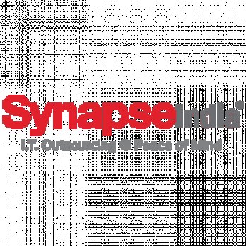 Synapsan Bansal