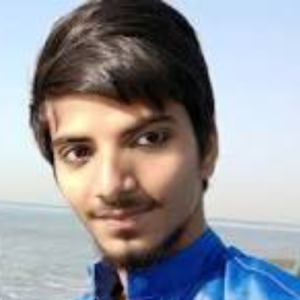 Tahav AnsariProfile Image