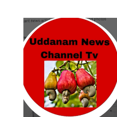 Tamadan JoshiProfile Image