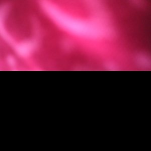 Tanishi KusumProfile Image