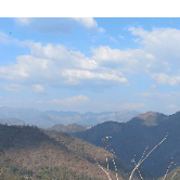 Tejas GuptaProfile Image