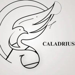 The Caladriusson