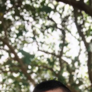 Thomaav PandeyProfile Image