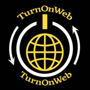 TurnOnDigital Services