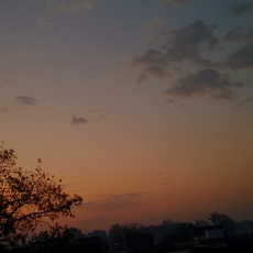 Tushar Sharma
