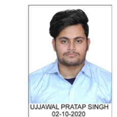 Ujjwal Pratap SinhaProfile Image