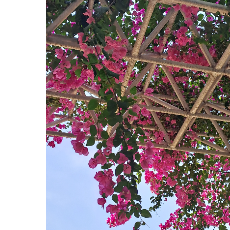 Vachana HombalProfile Image