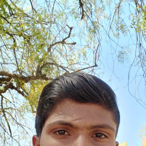 Vanamalav Verma