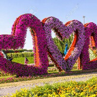 Vanita GokhaleProfile Image