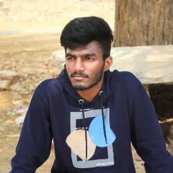 Velpucherlav Goyal