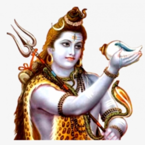 Venkaav Chauhan