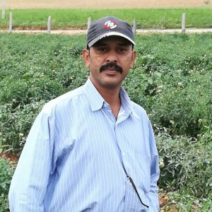 Venkatesulit Awasthi