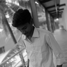 Vidhya Narayan S