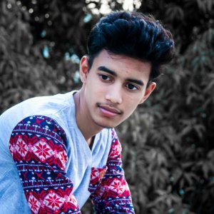 Vighanesit Goyal