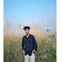 Vikas Thipparapu