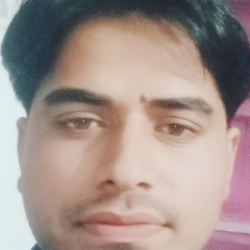 Vikram Meena KarawalProfile Image