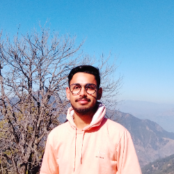 Vinay Mehra