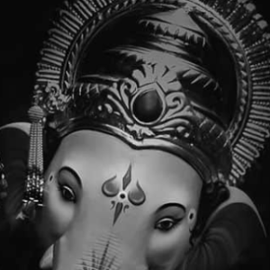 Viraaj Harshavardhan